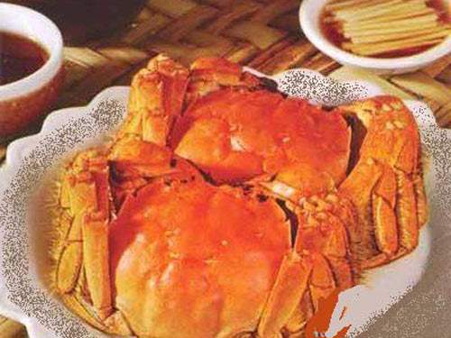 陽(yáng)澄湖蟹公館牌大閘蟹